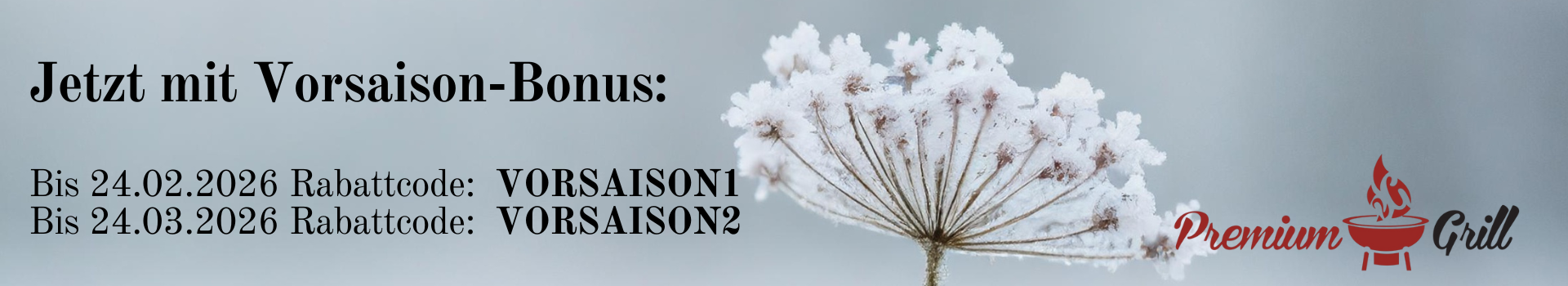 Grill Aktionspreise Weber Big Green Egg und Napoleon