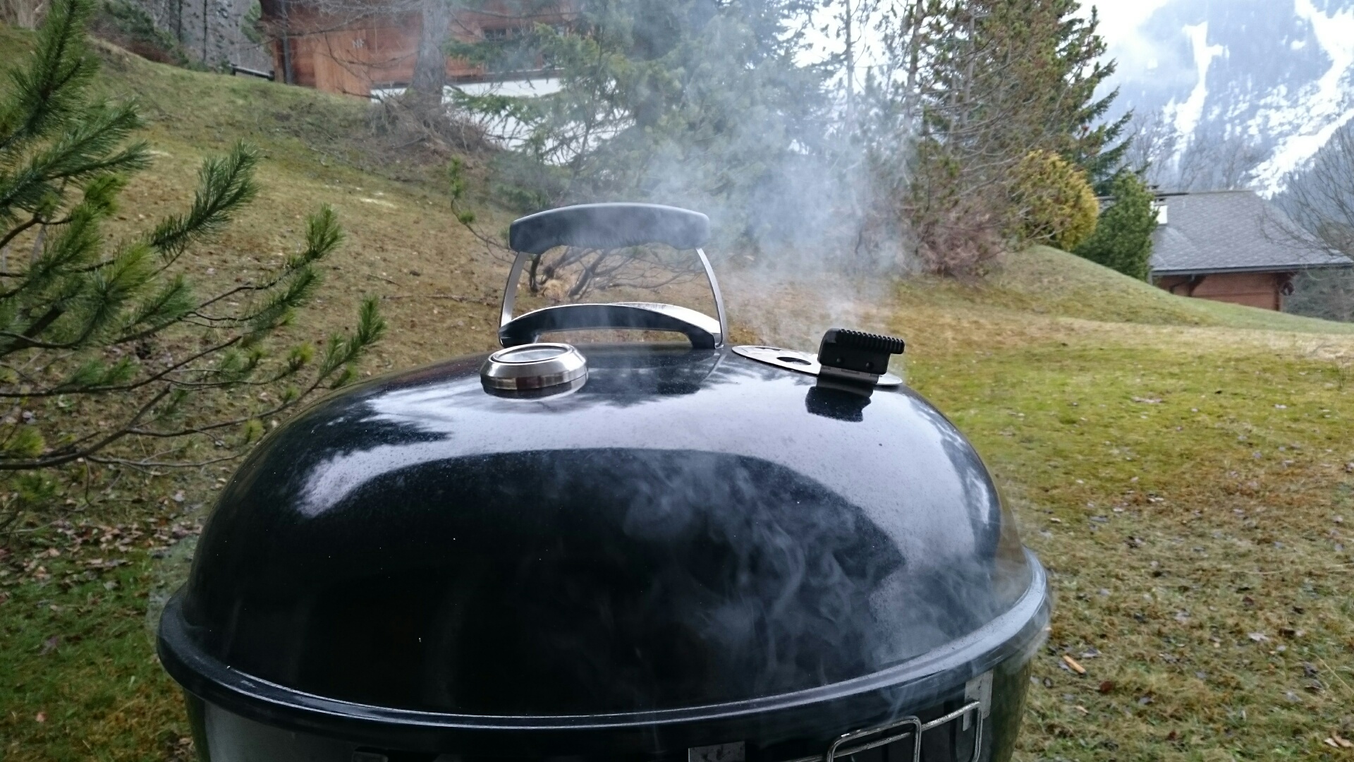 Smoked Trout in Weber Grill