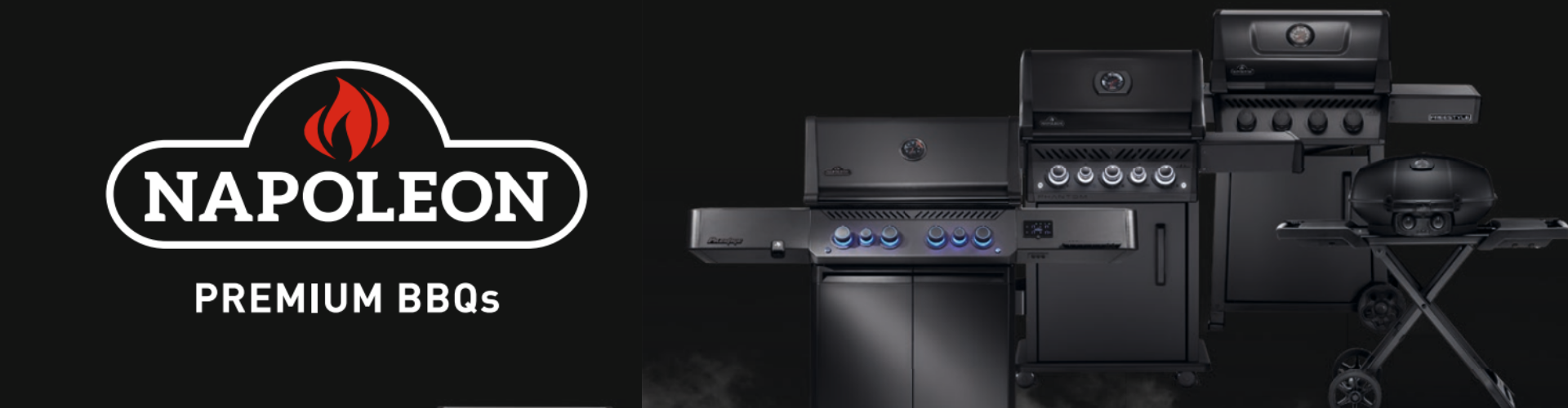 Napoleon Grills Schweiz kaufen