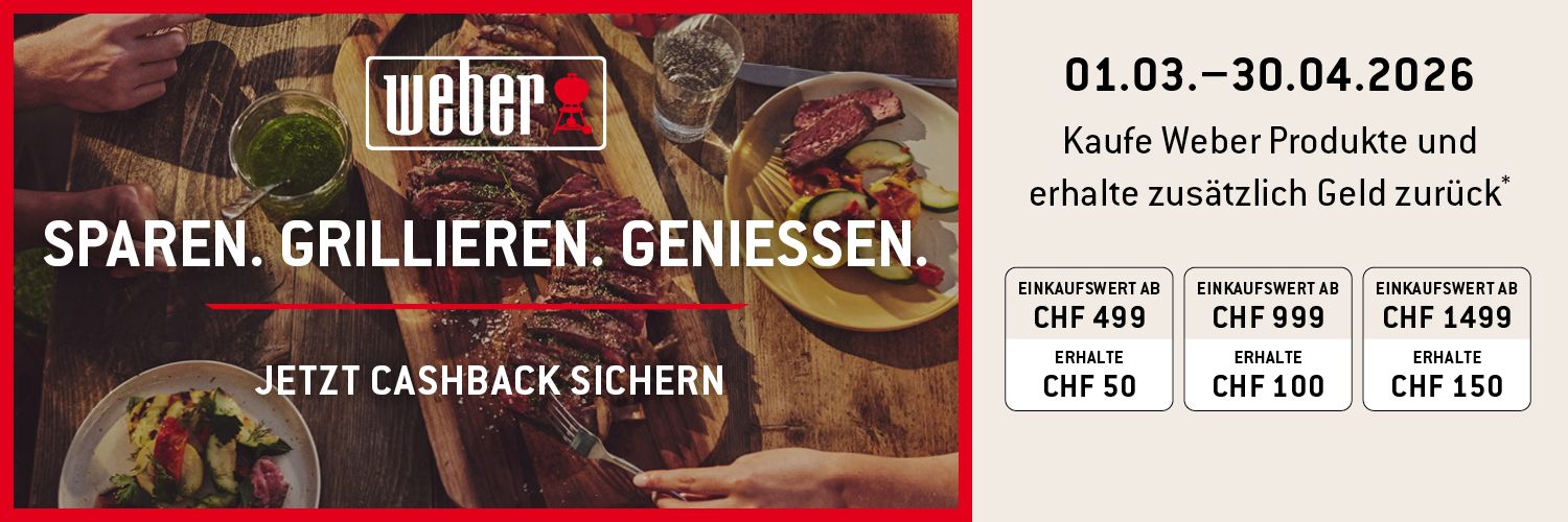 Grill Aktionspreise Weber Big Green Egg und Napoleon