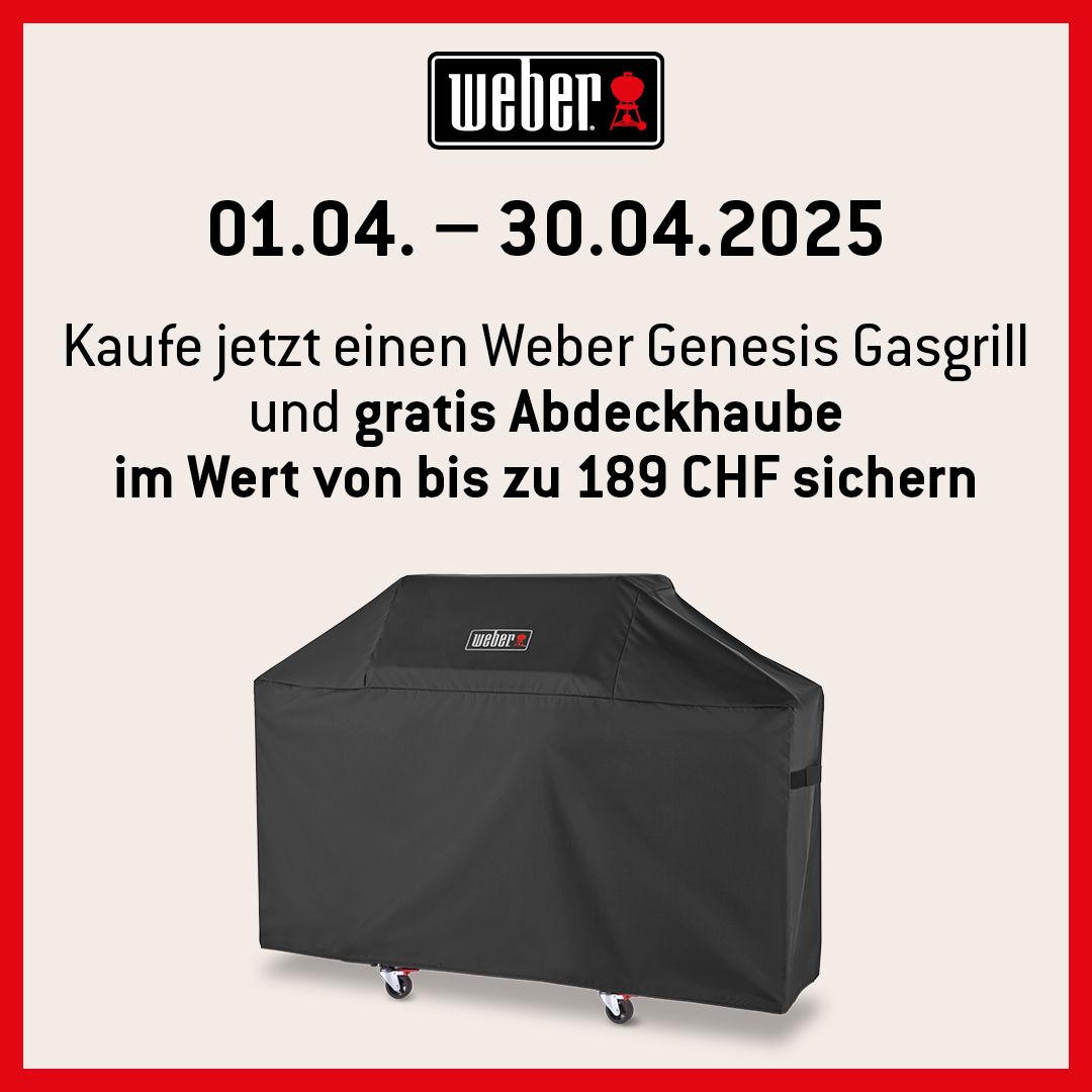 Weber Outdoorkitchen