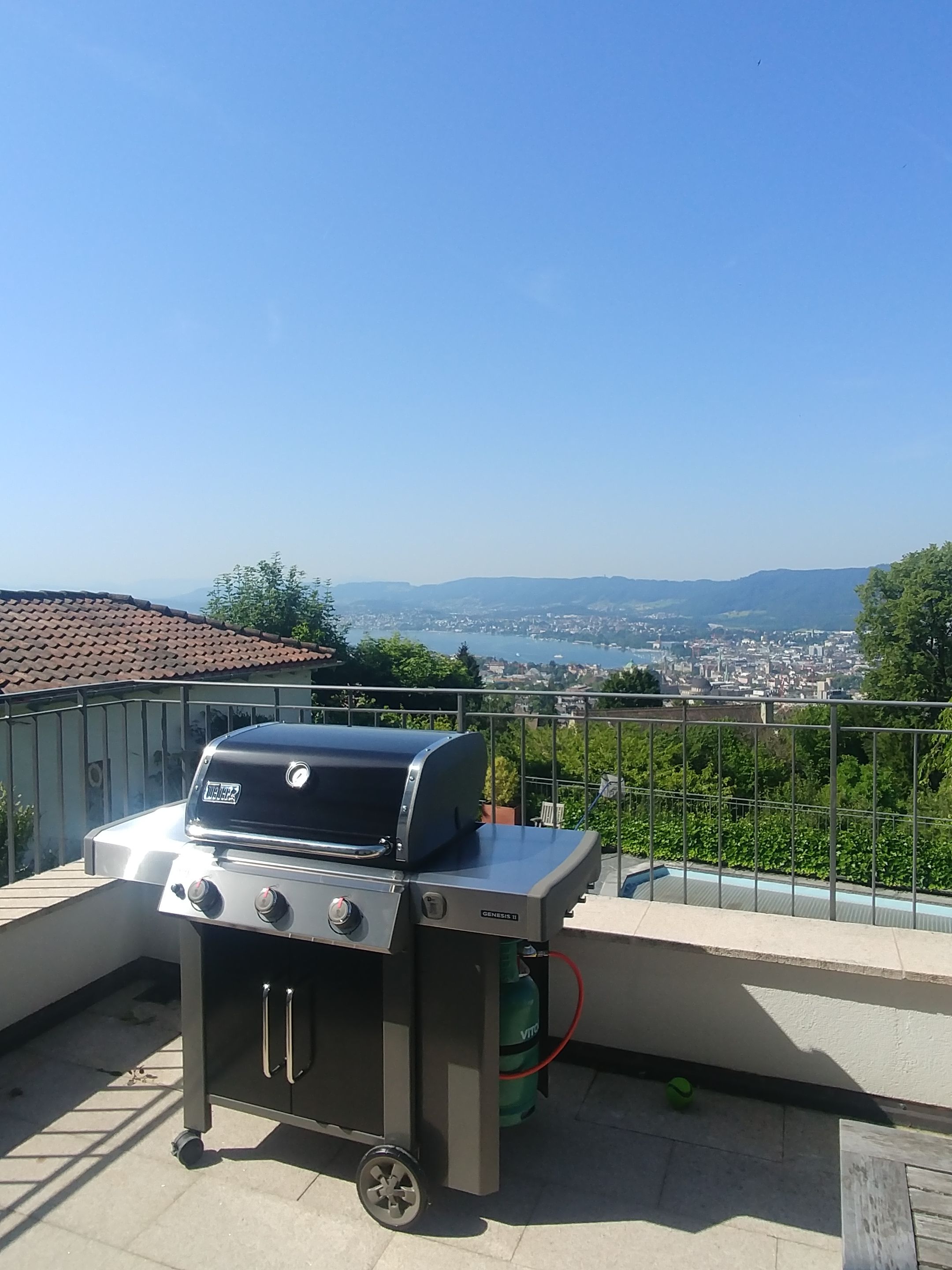 Weber Genesis E-330 Zürich Fluntern